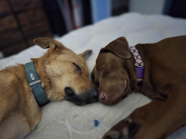 Carmella thumbnail 2