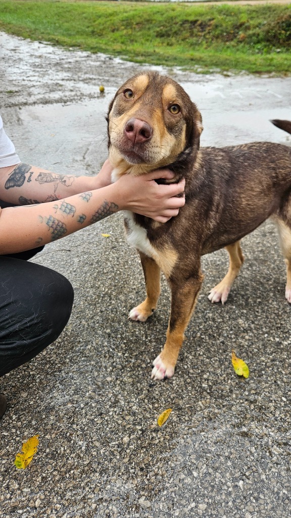 Blair Bumpus thumbnail 2