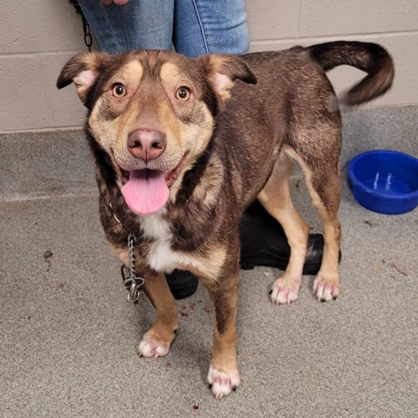 Blair Bumpus thumbnail 3