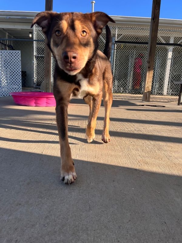 Blair Bumpus thumbnail 5