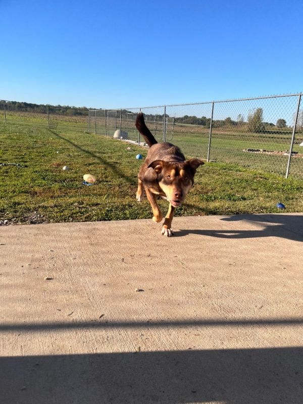 Blair Bumpus thumbnail 6