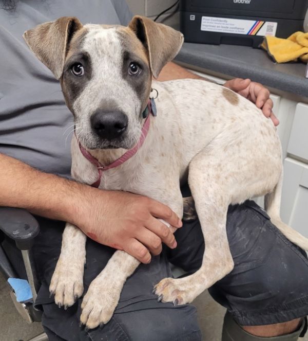 Remi Lyon thumbnail 2