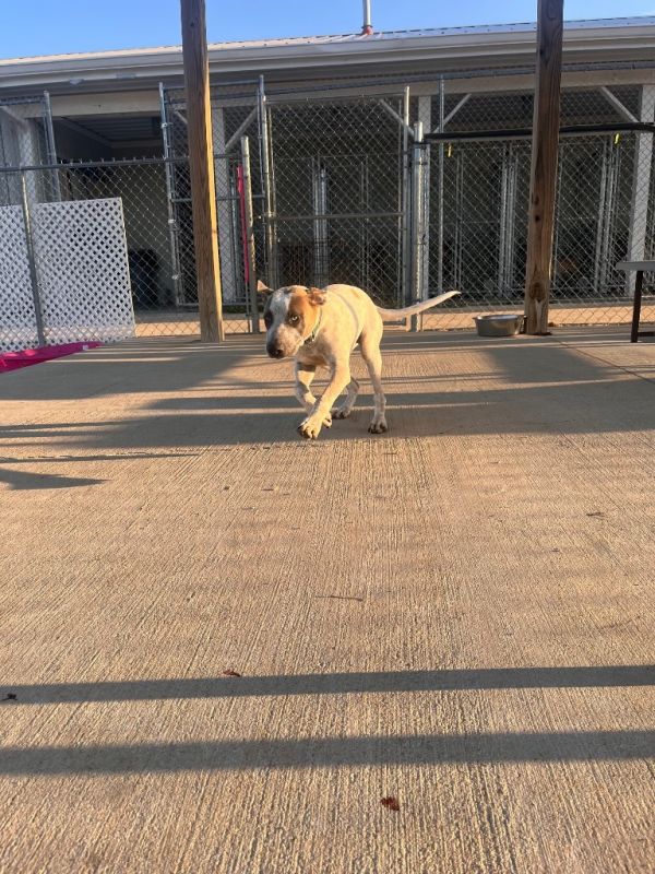 Remi Lyon thumbnail 4