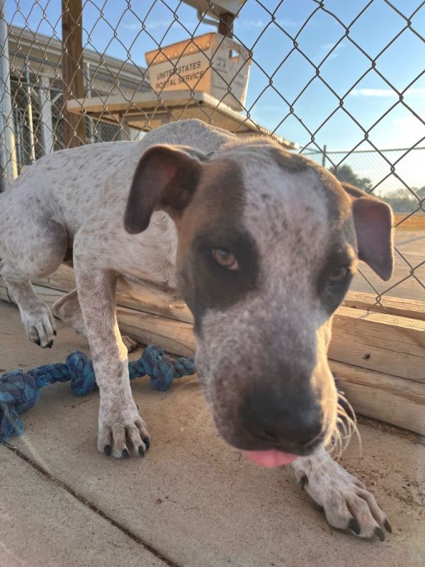 Remi Lyon thumbnail 5