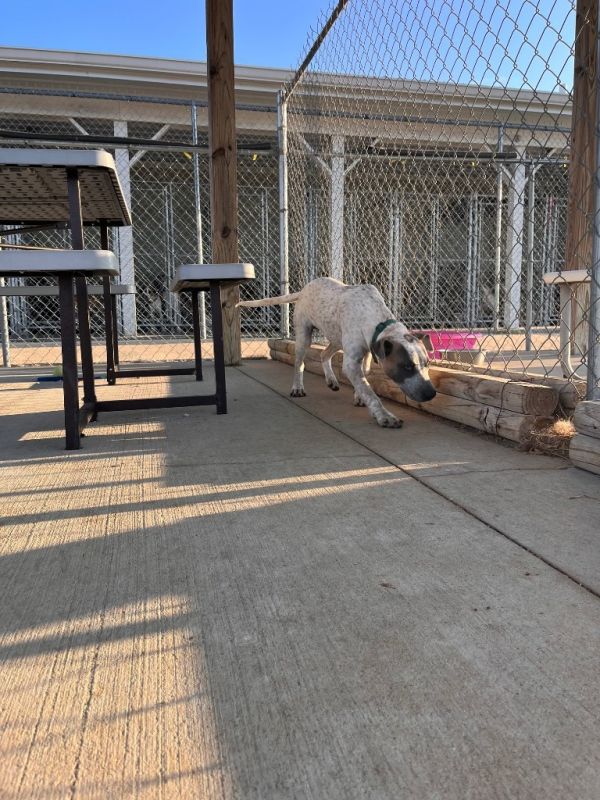 Remi Lyon thumbnail 6