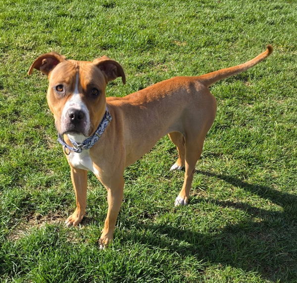 September thumbnail 2