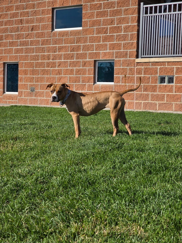 September thumbnail 3