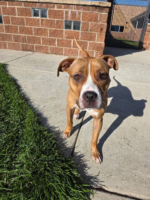 September thumbnail 5