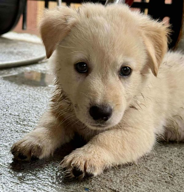 Paulwalker thumbnail 2