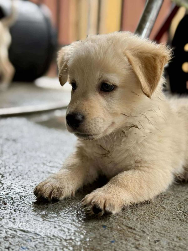 Paulwalker thumbnail 3