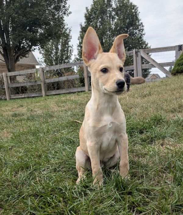 Bilbo Baggins thumbnail 2