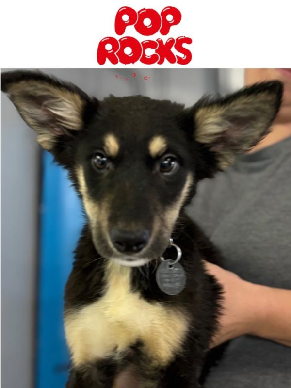 Pop Rocks thumbnail 2