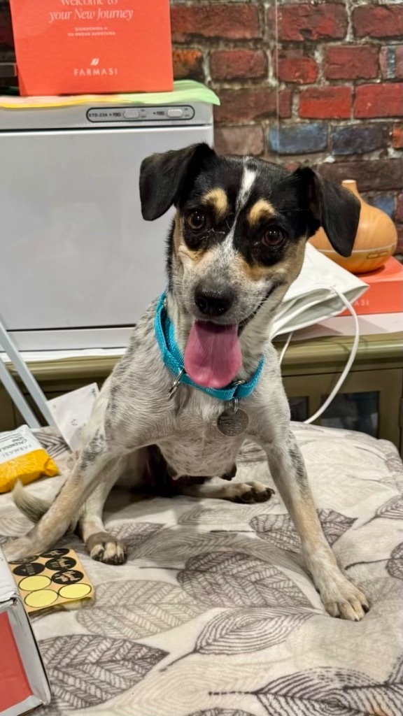 Skittles thumbnail 2