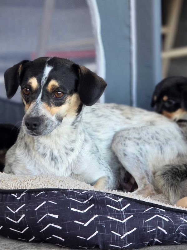 Skittles thumbnail 3