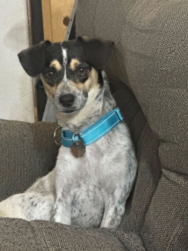 Skittles thumbnail 5