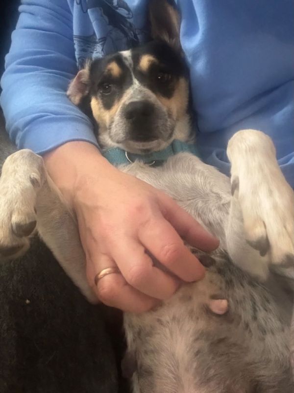 Skittles thumbnail 6