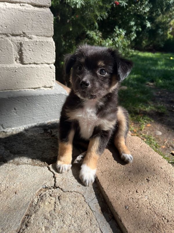 Sweater Weather Latte photo 1