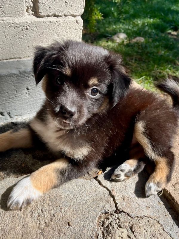 Sweater Weather Latte thumbnail 3