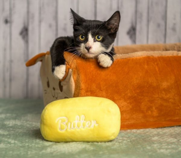 Blackwell thumbnail 3