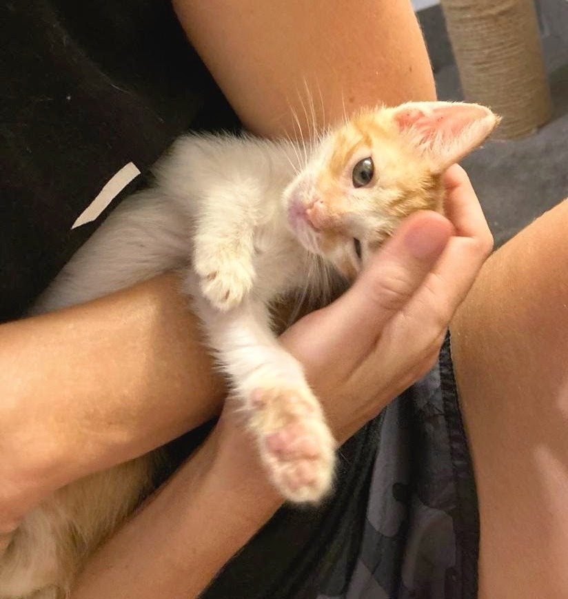 Jonesy