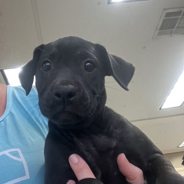 Mahindra thumbnail 2