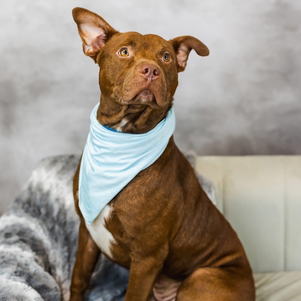 Dusseldorf (Sponsored)