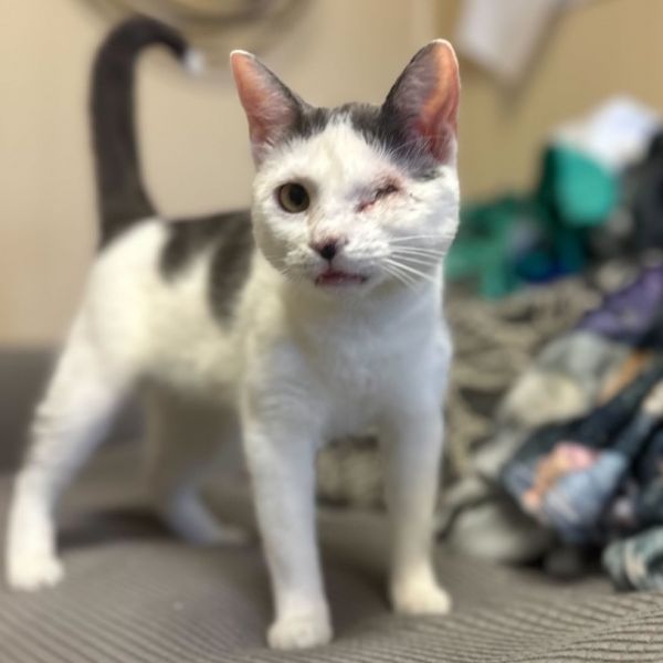 Bullseye Meet Me At photo 1