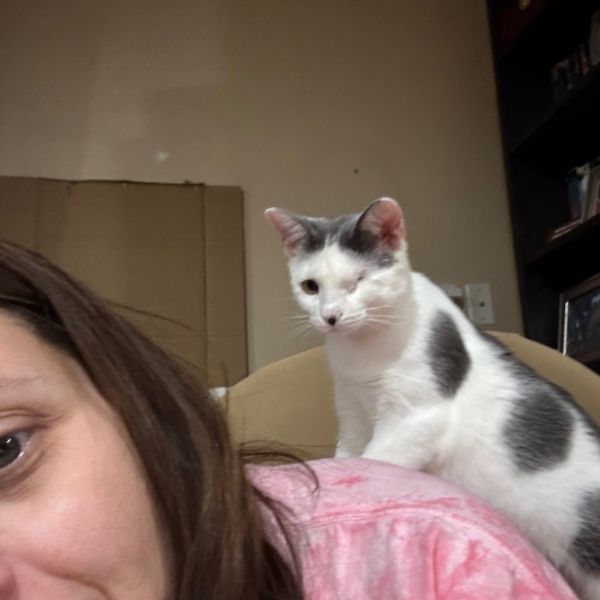 Bullseye Meet Me At thumbnail 2