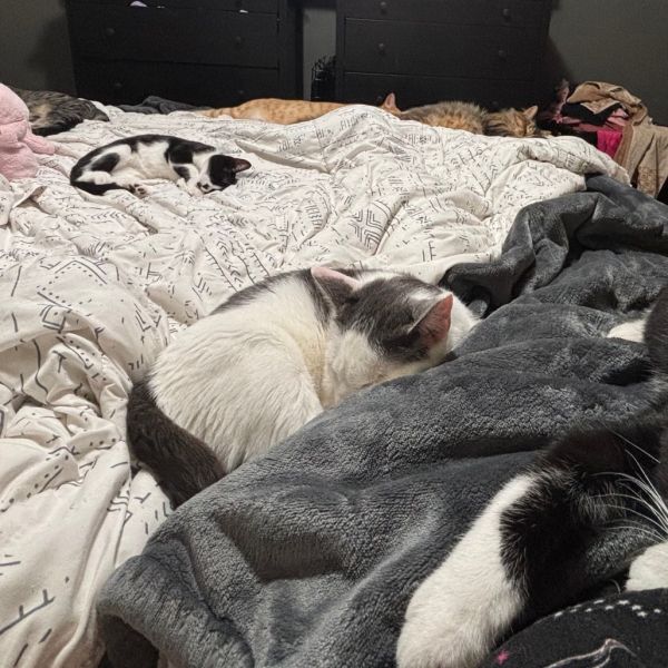 Bullseye Meet Me At thumbnail 3