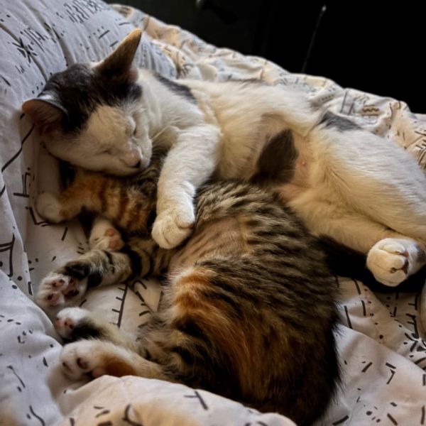 Bullseye Meet Me At thumbnail 4