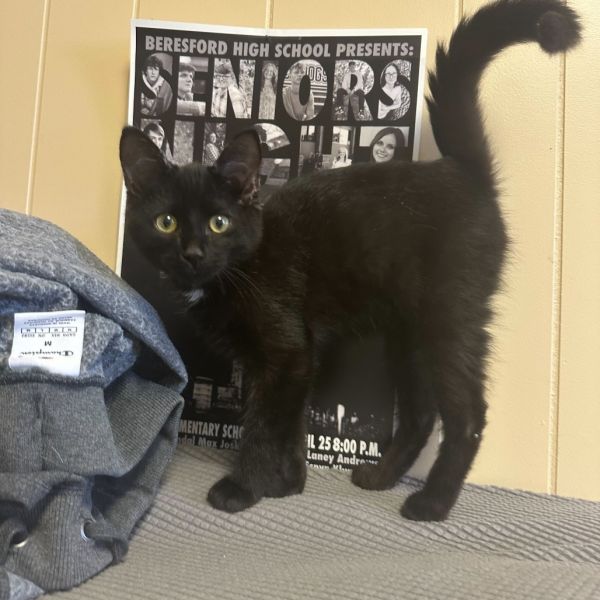 Aisling Meet Me At photo 1