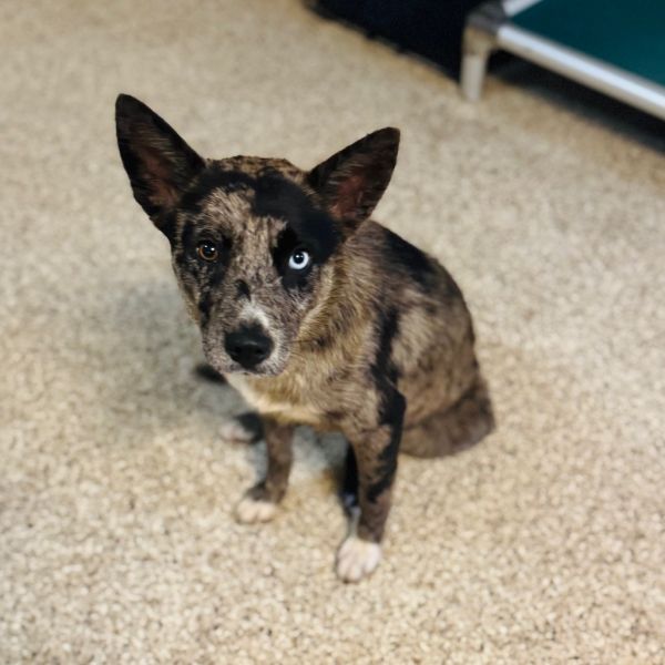 Zayn Malik thumbnail 2