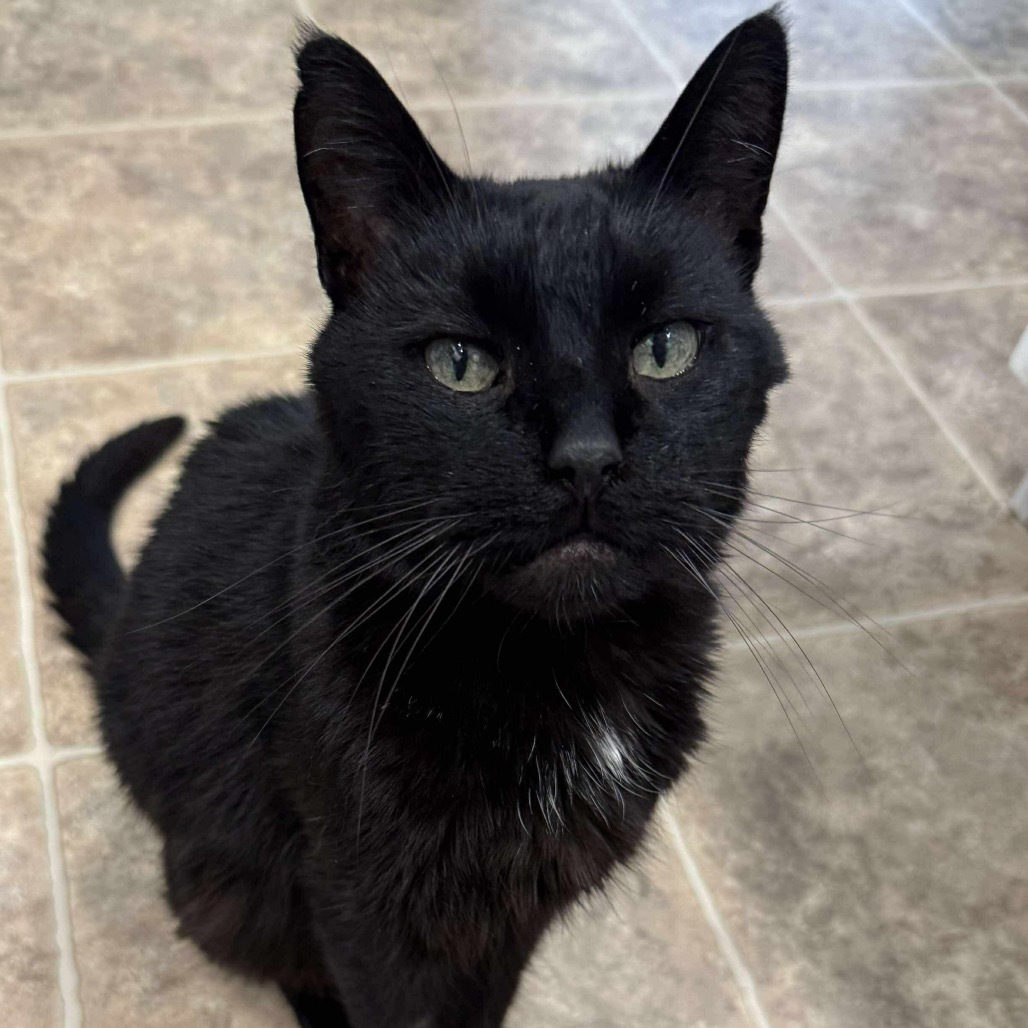 Max