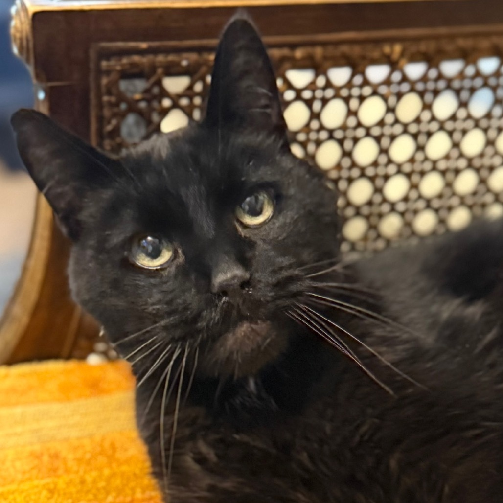 Max