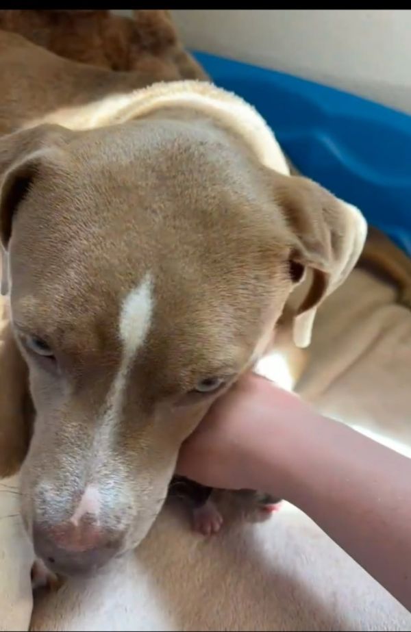 Scrabble thumbnail 2