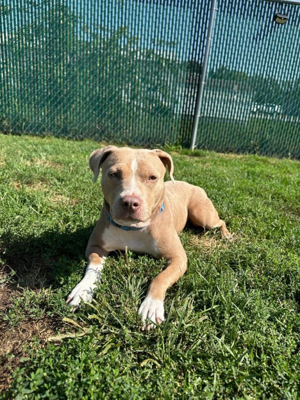 Scrabble thumbnail 3