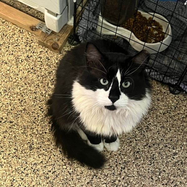 Michael Scott photo 1