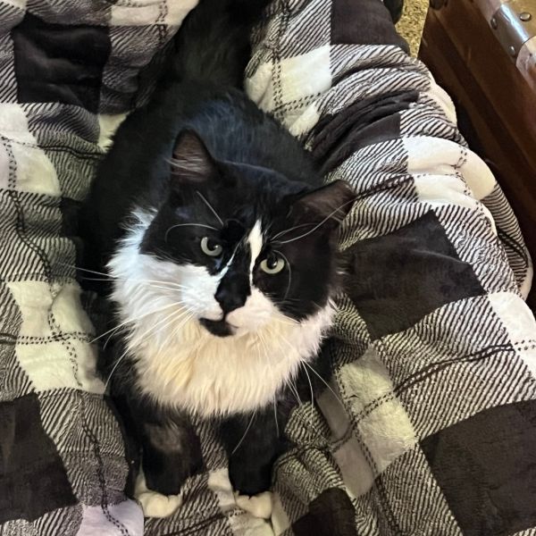 Michael Scott thumbnail 2