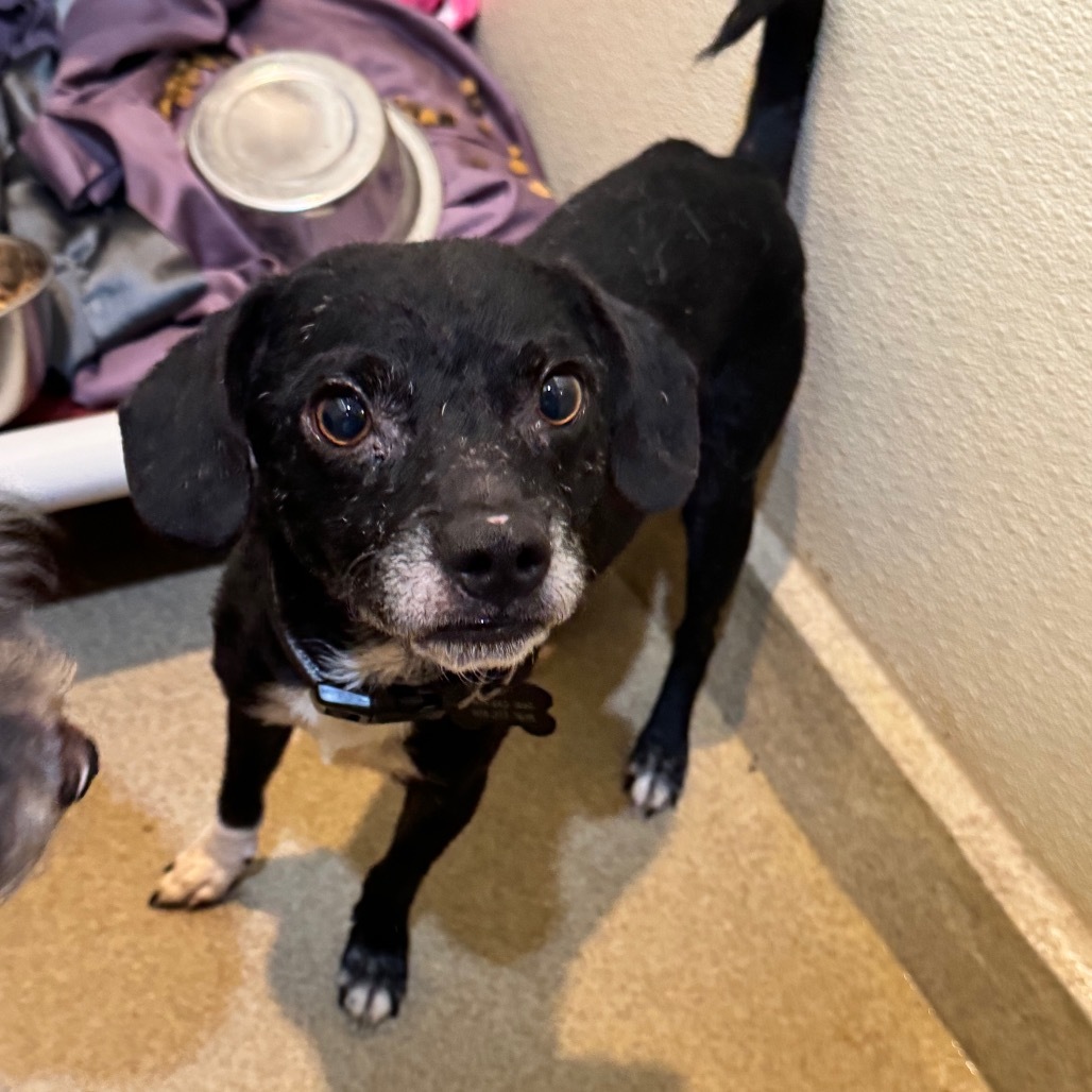Jedidiah (19) - Costa Mesa Location