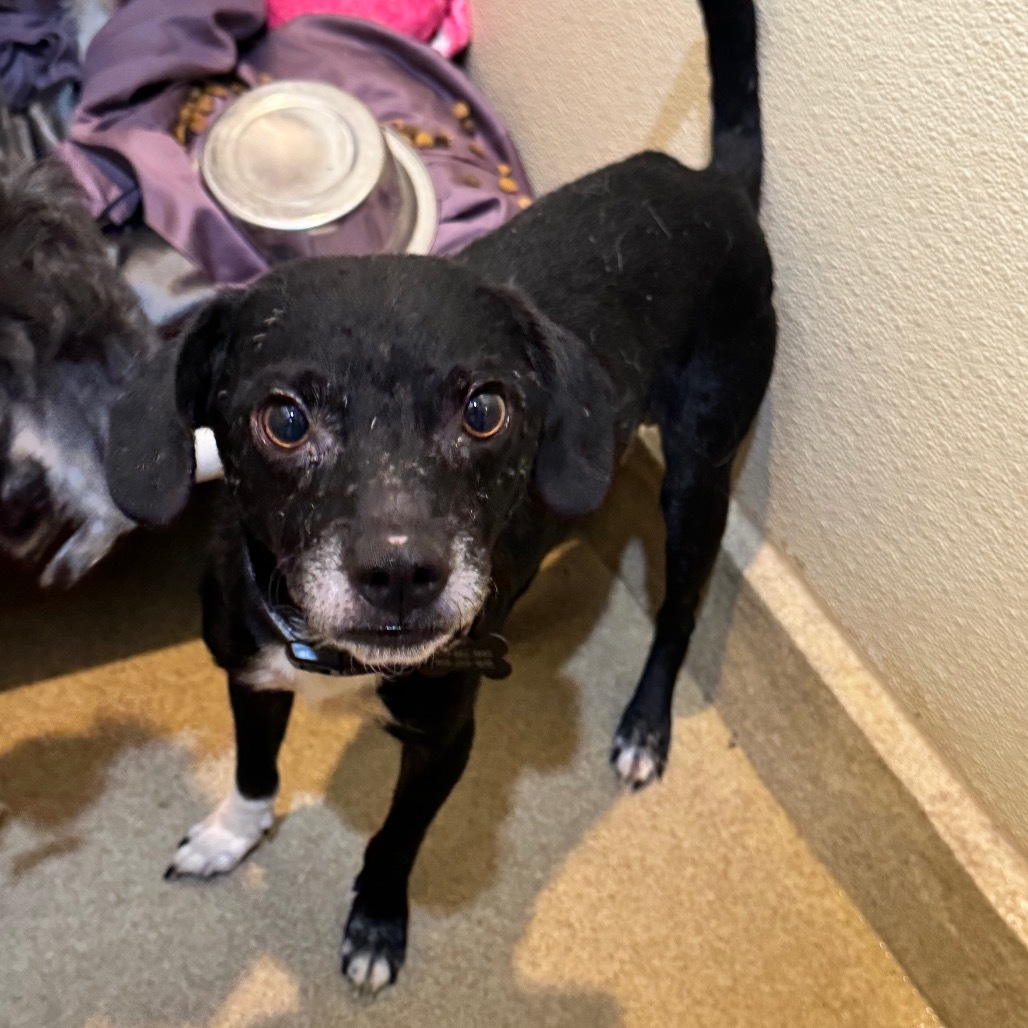 Jedidiah (19) - Costa Mesa Location