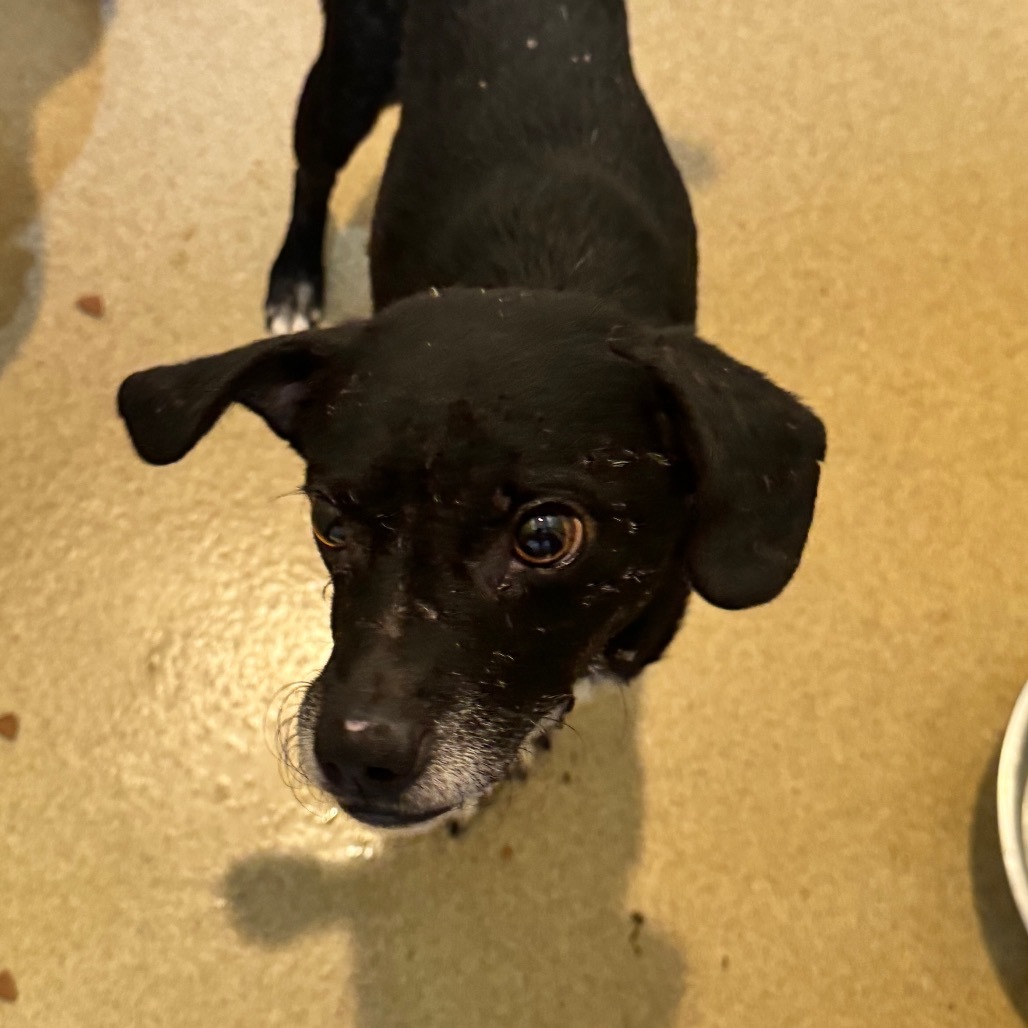 Jedidiah (19) - Costa Mesa Location
