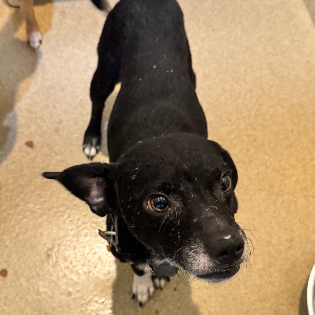 Jedidiah (19) - Costa Mesa Location
