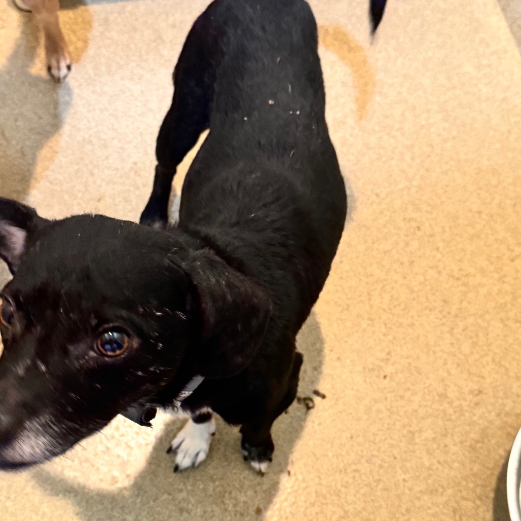 Jedidiah (19) - Costa Mesa Location