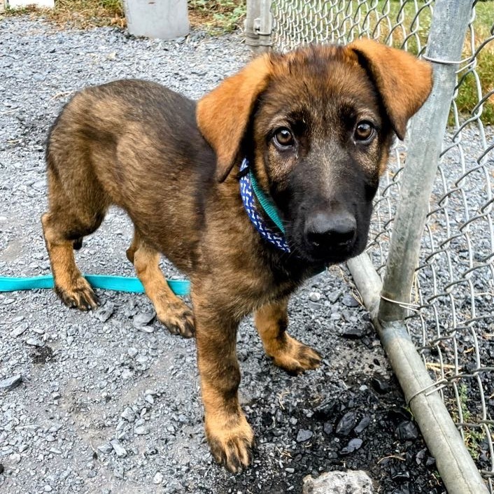 Wally, "Grizzly"