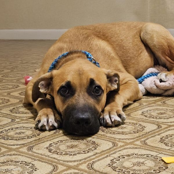 Klondike thumbnail 2