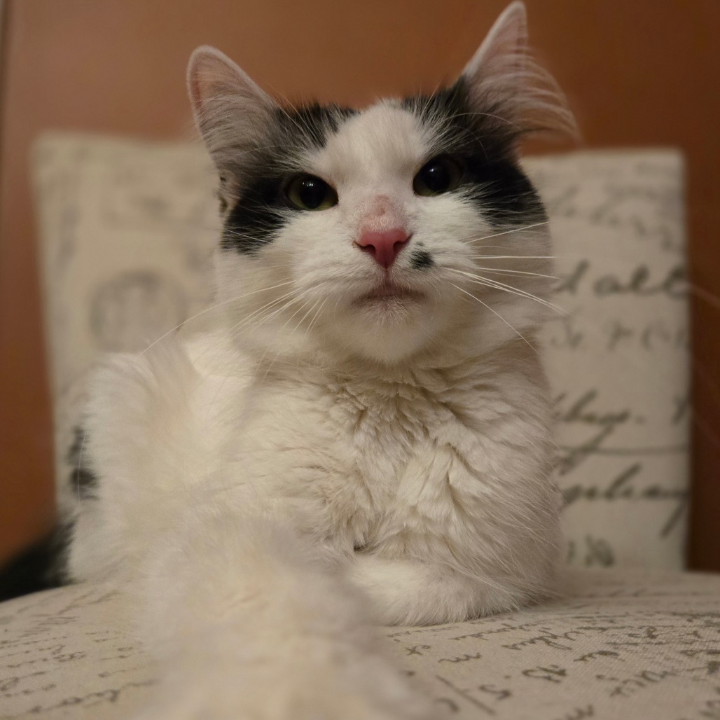 Marilyn