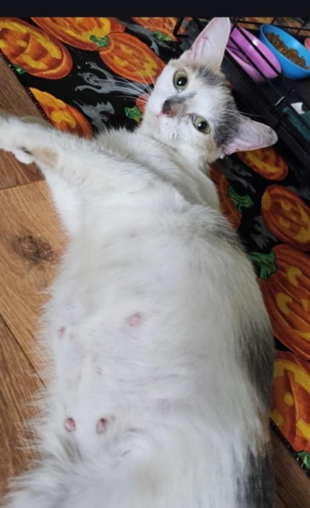 Mama Watermelon