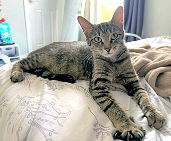 Genevieve thumbnail 3