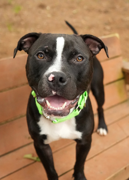 Midnight thumbnail 2