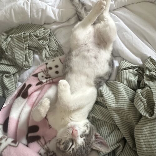 Celia Mae thumbnail 2